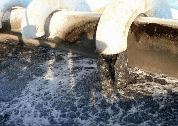 (圖:養(yǎng)殖場污水泡沫處理池)