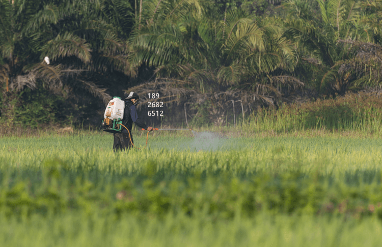 （圖：南輝液體肥料消泡劑的作用）