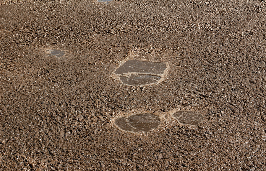 （圖：曝氣池污水泡沫）